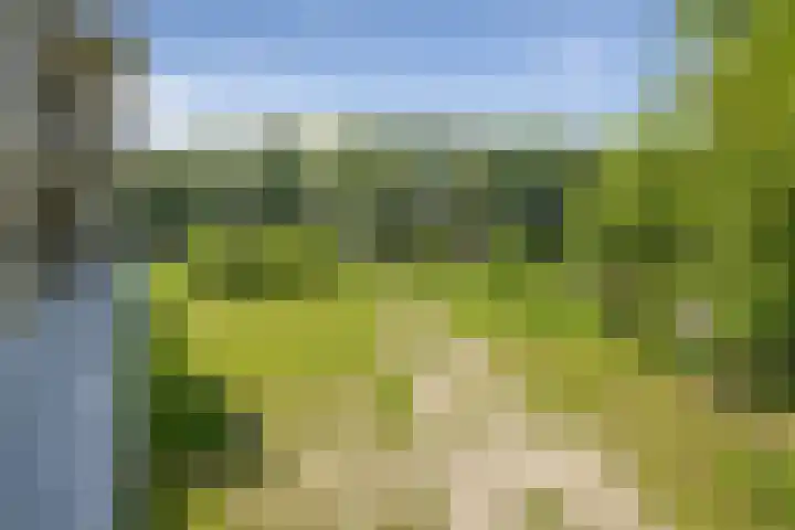 Couperuslaan 78 Etten-Leur thumbnail 17