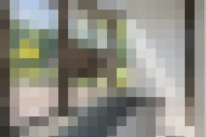 Couperuslaan 78 Etten-Leur thumbnail 25