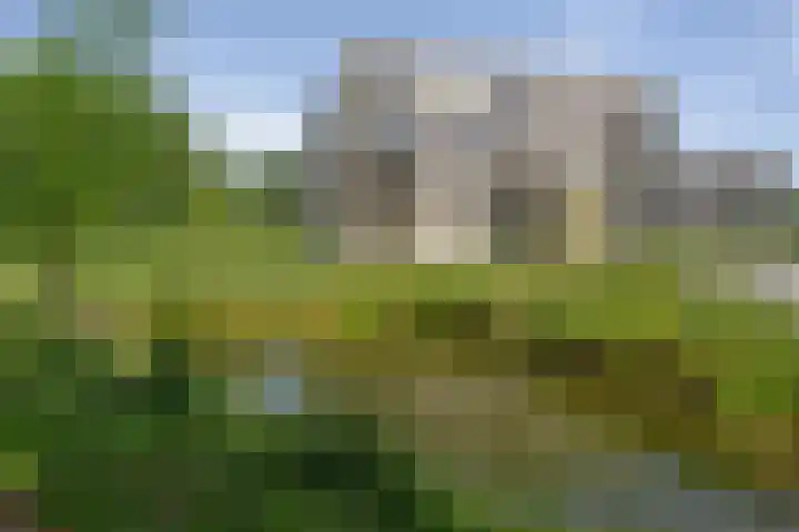 Couperuslaan 78 Etten-Leur thumbnail 32