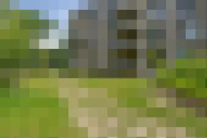 Couperuslaan 78 Etten-Leur thumbnail 33