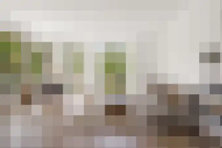 Couperuslaan 78 Etten-Leur thumbnail 6