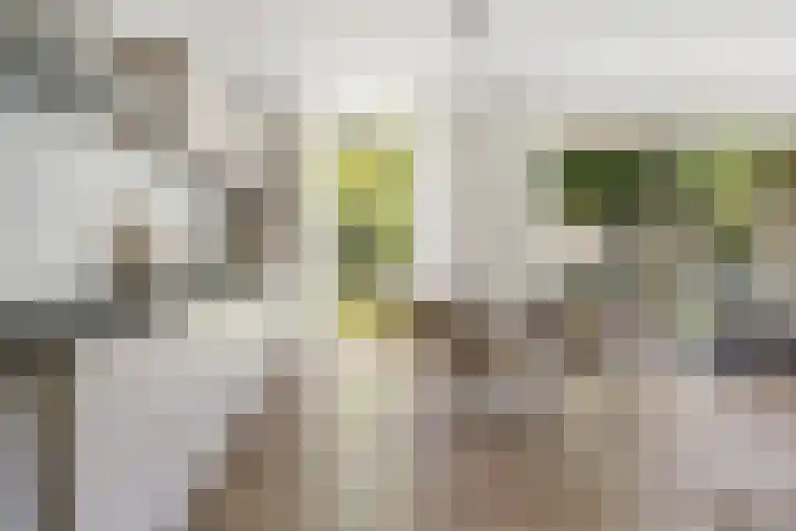 Couperuslaan 78 Etten-Leur thumbnail 7