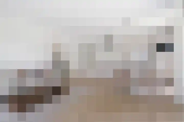 Couperuslaan 78 Etten-Leur thumbnail 9