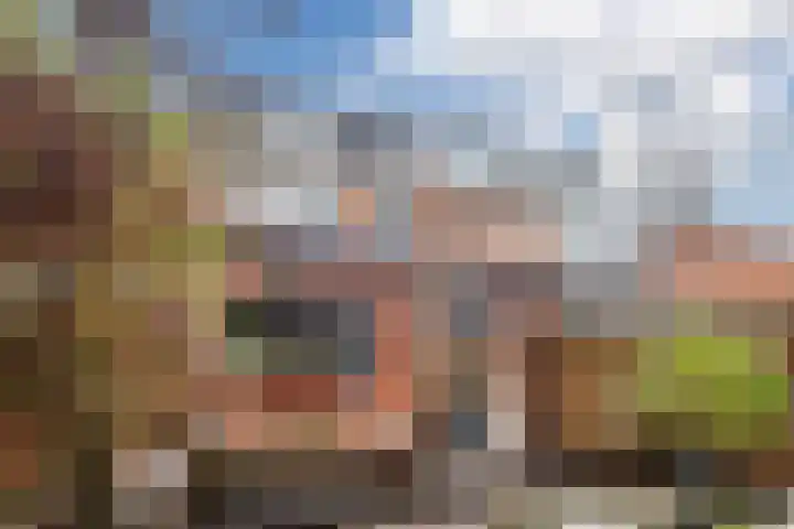 Couperuslaan 87 Harderwijk thumbnail 34