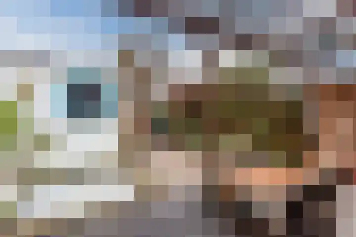 Couperuslaan 87 Harderwijk thumbnail 35