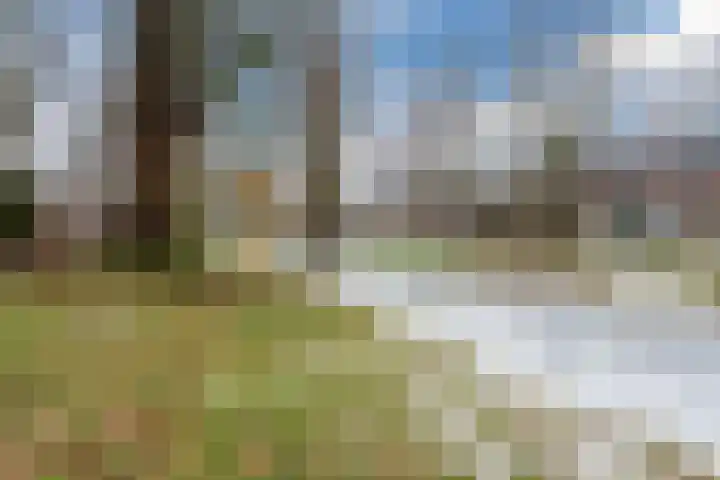 Couperuslaan 87 Harderwijk thumbnail 40