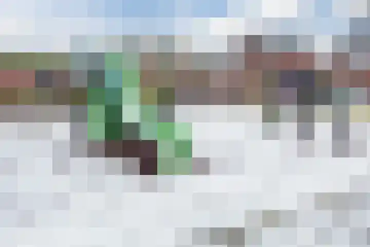 Couperuslaan 87 Harderwijk thumbnail 42