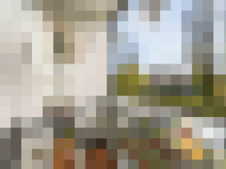 Couperuslaan 89 Harderwijk thumbnail 27