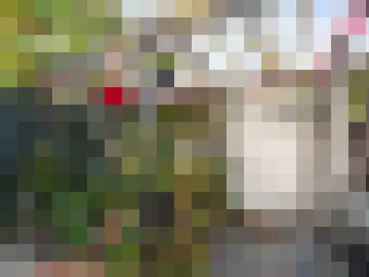 Couperuslaan 89 Harderwijk thumbnail 45