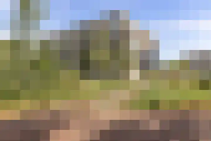 Couperuslaan 94 Etten-Leur thumbnail 36