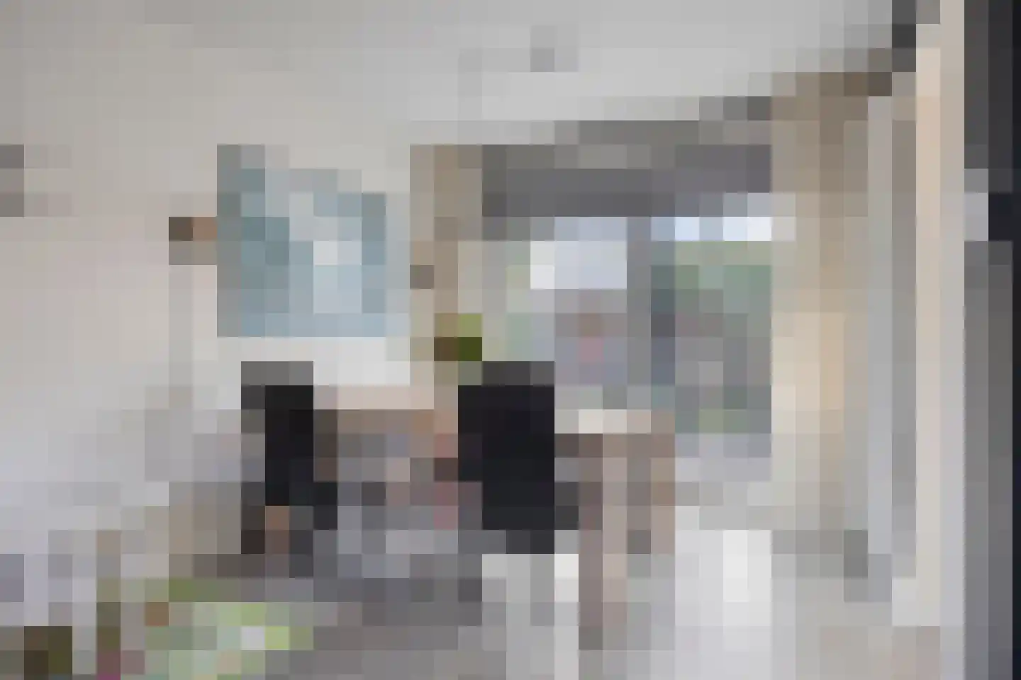 Couperusstraat 1 Goor thumbnail 14