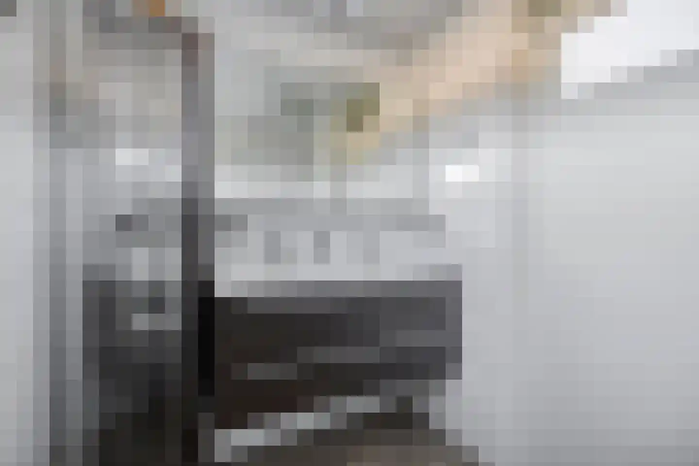 Couperusstraat 1 Goor thumbnail 23