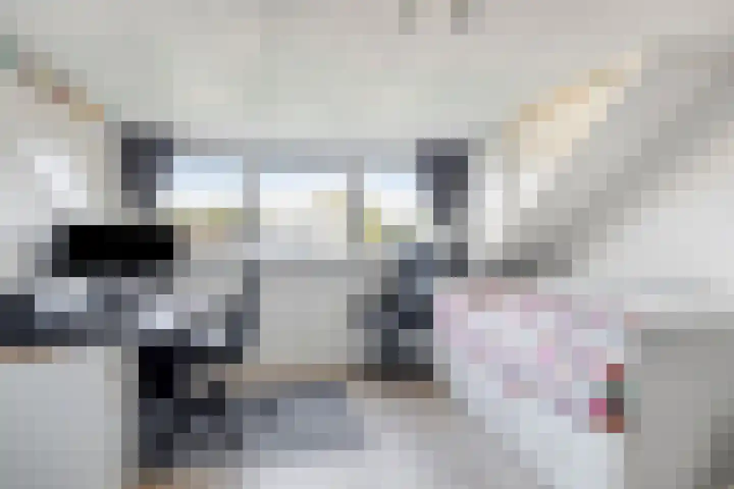 Couperusstraat 1 Goor thumbnail 29