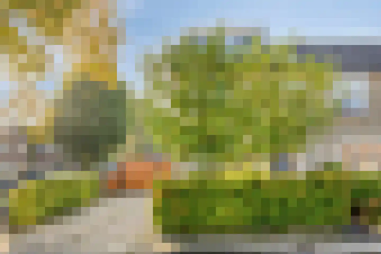 Couperusstraat 1 Goor thumbnail 36