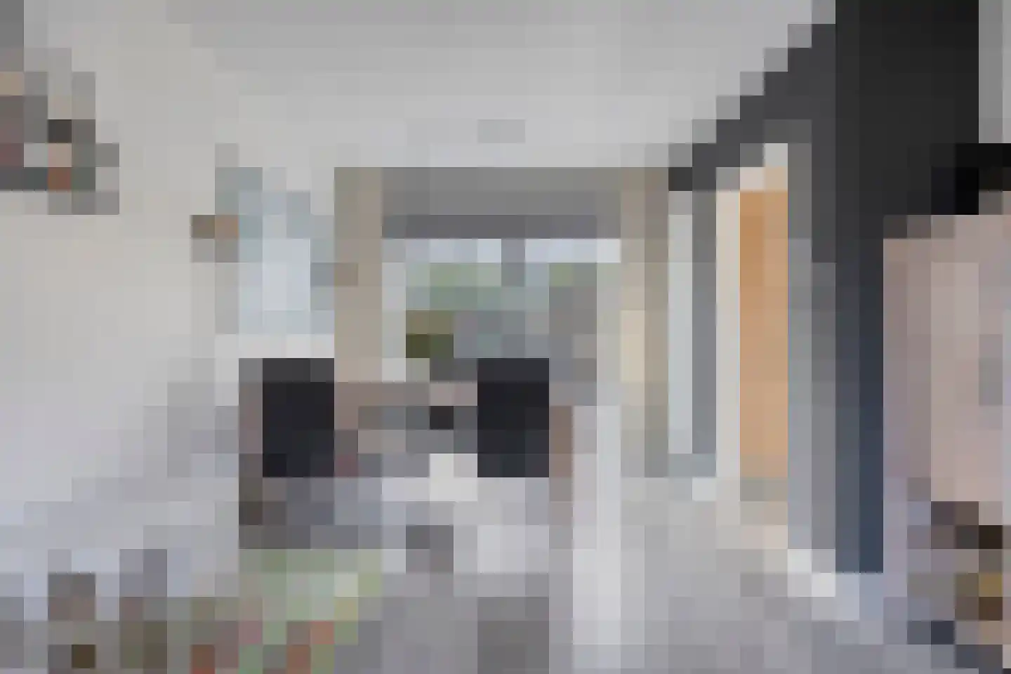 Couperusstraat 1 Goor thumbnail 6