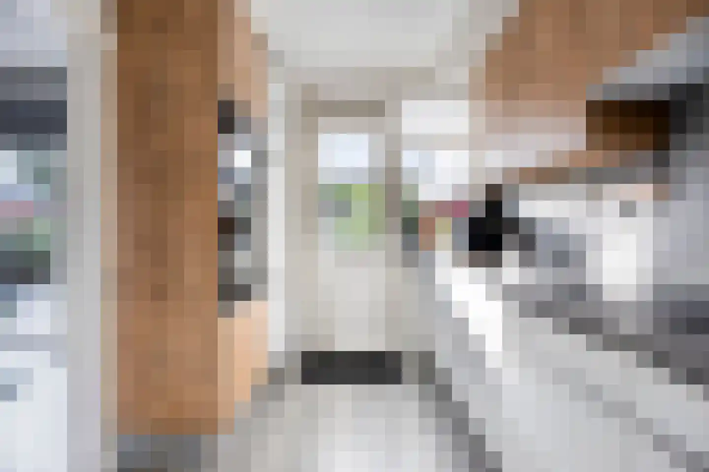 Couperusstraat 1 Goor thumbnail 7