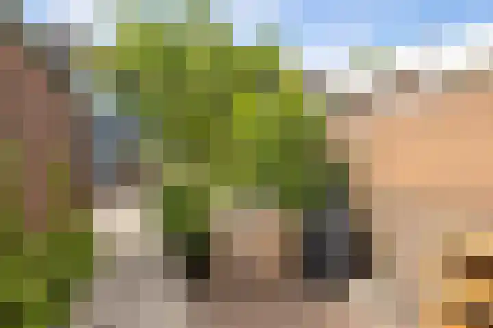 Couperusstraat 11 Vleuten thumbnail 30