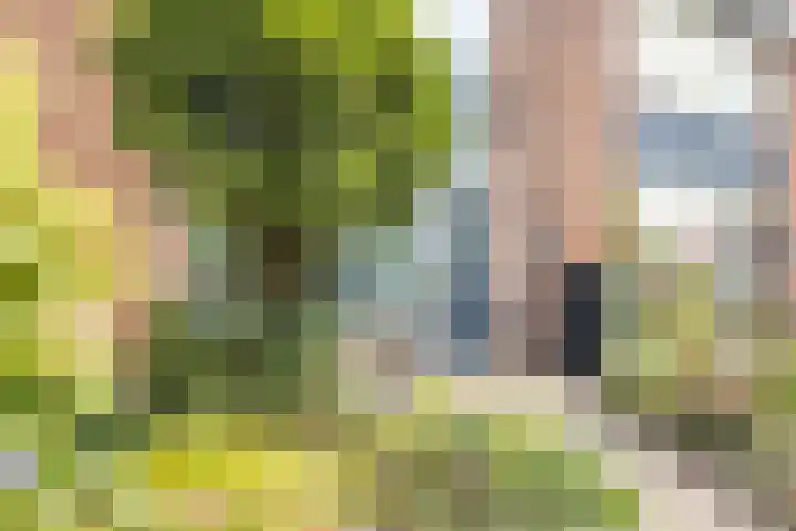 Couperusstraat 11 Vleuten thumbnail 4