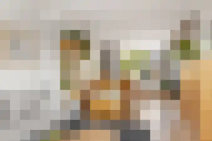 Couperusstraat 11 Vleuten thumbnail 7