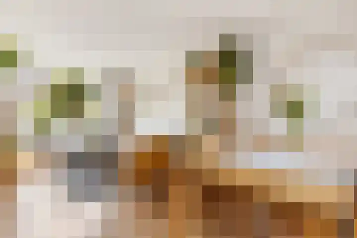 Couperusstraat 11 Vleuten thumbnail 9