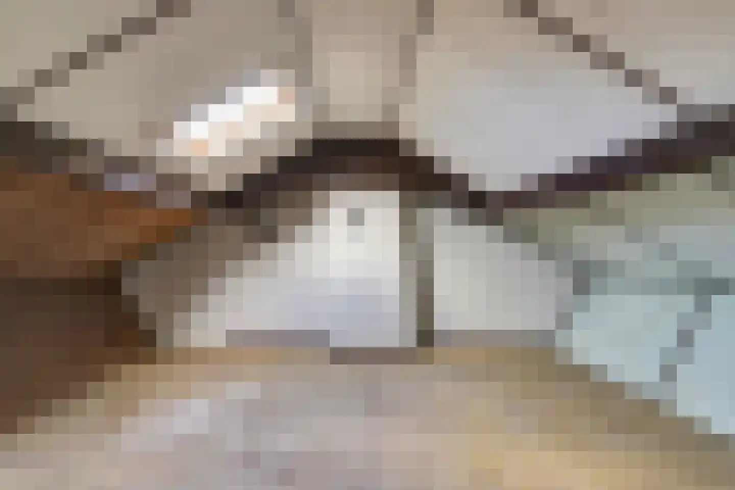 Couperusstraat 12 Dordrecht thumbnail 23