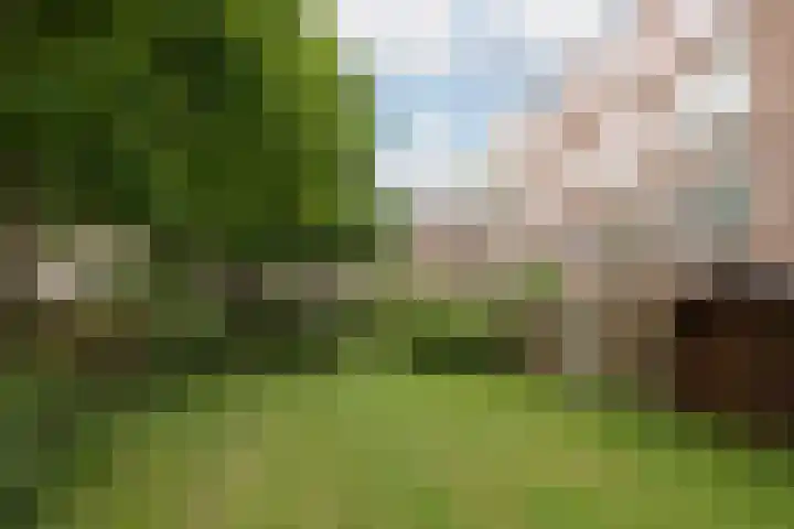 Couperusstraat 172 Groningen thumbnail 38