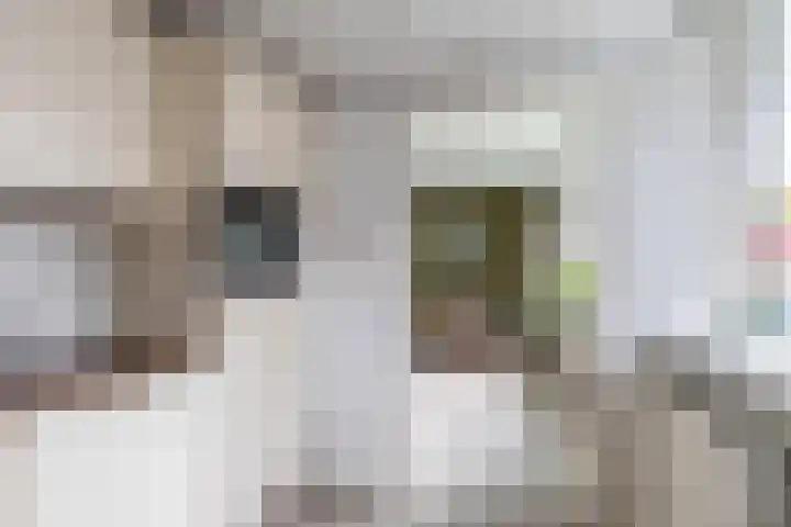 Couperusstraat 2 Groningen thumbnail 16