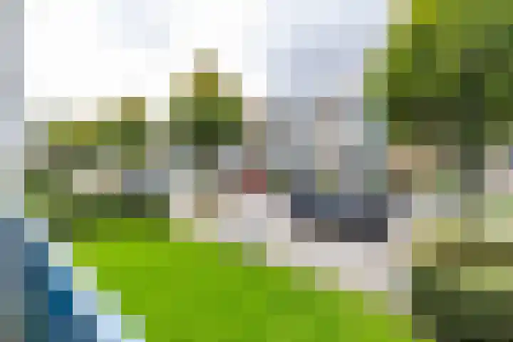 Couperusstraat 2 Groningen thumbnail 19