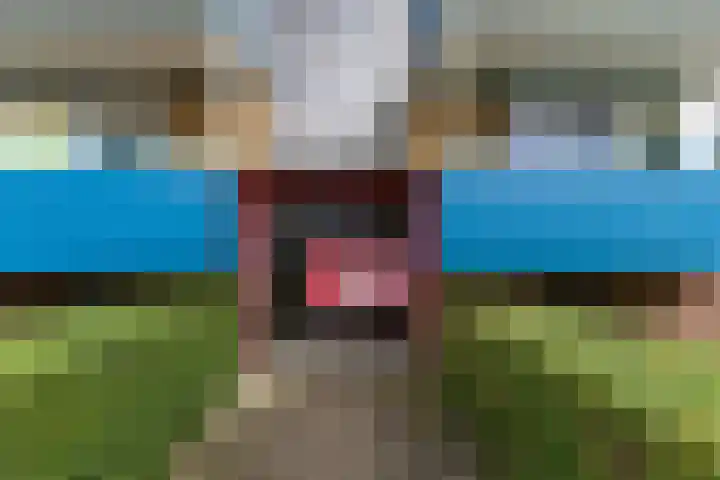 Couperusstraat 2 Groningen thumbnail 28