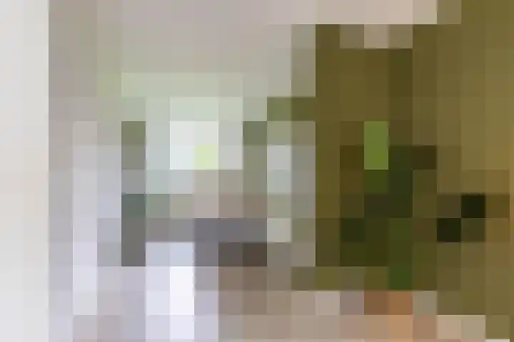 Couperusstraat 2 Groningen thumbnail 5