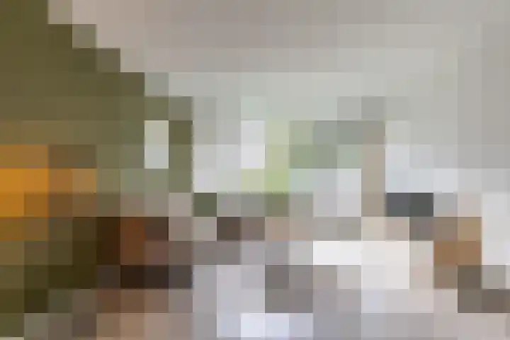 Couperusstraat 2 Groningen thumbnail 8