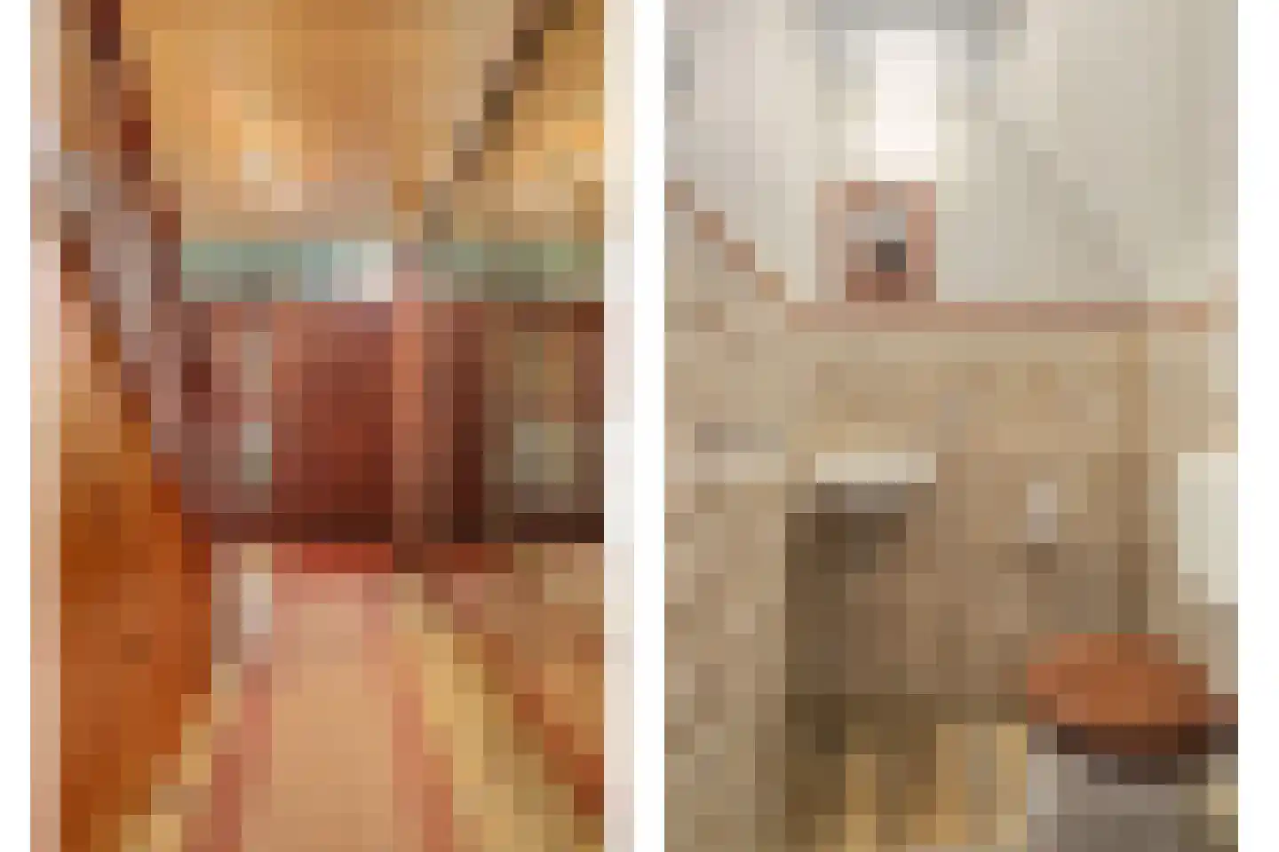 Couperusstraat 2 Ridderkerk thumbnail 13