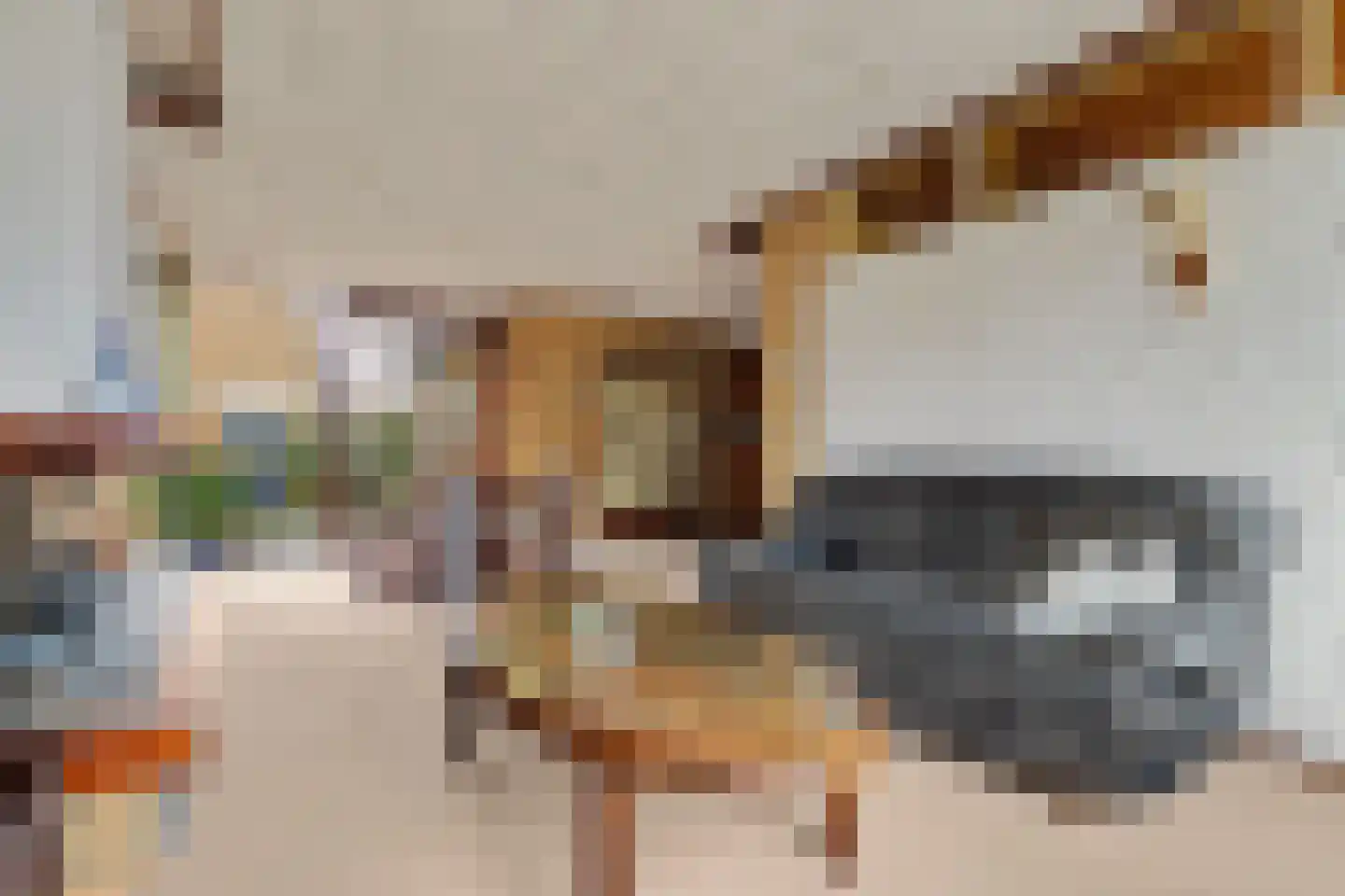 Couperusstraat 2 Ridderkerk thumbnail 14