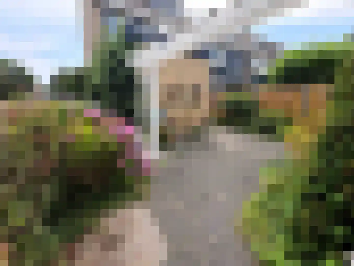 Couperusstraat 2 Ridderkerk thumbnail 33