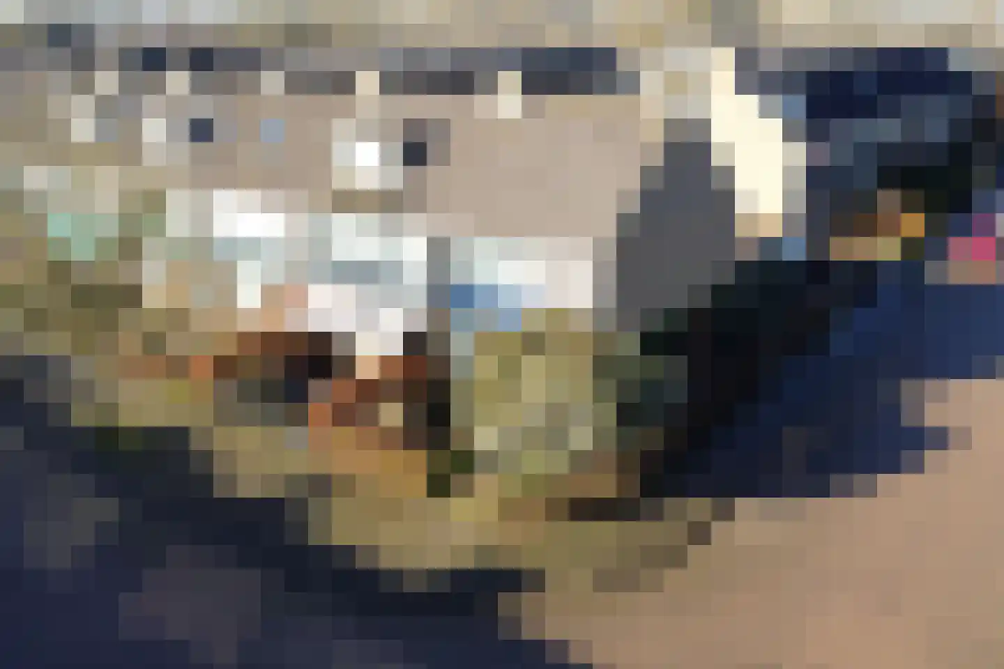 Couperusstraat 2 Ridderkerk thumbnail 34