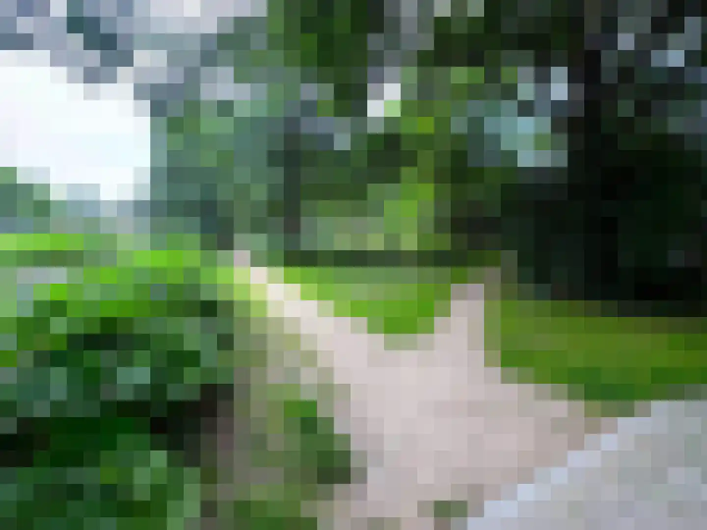 Couperusstraat 2 Ridderkerk thumbnail 41