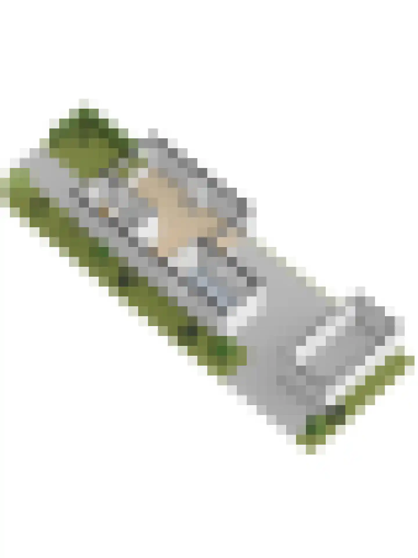 Couperusstraat 2 Ridderkerk thumbnail 45