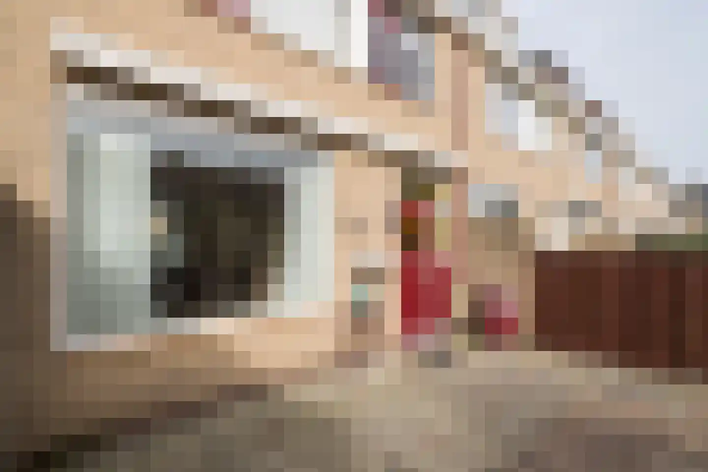 Couperusstraat 29 Ridderkerk thumbnail 11