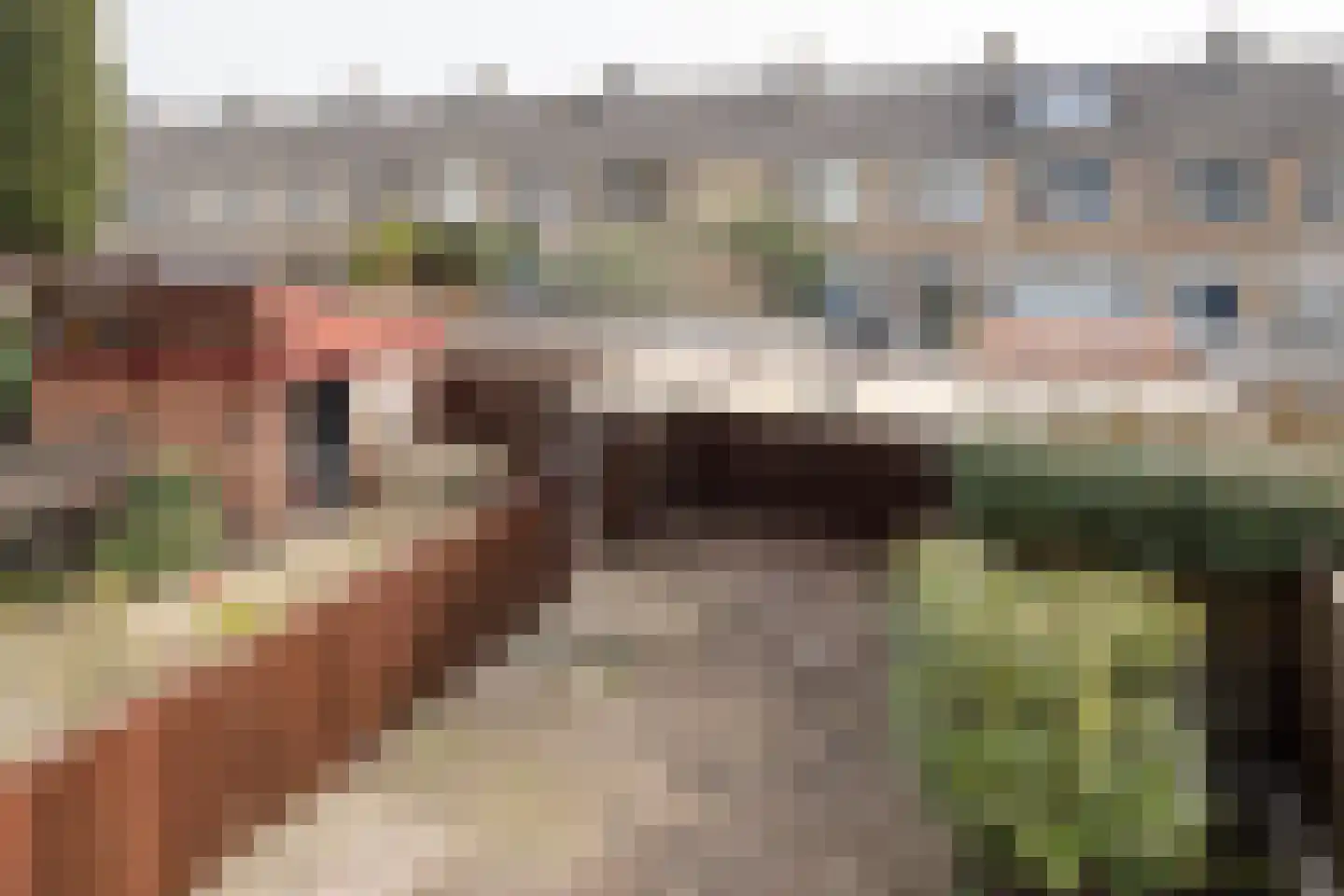 Couperusstraat 29 Ridderkerk thumbnail 16