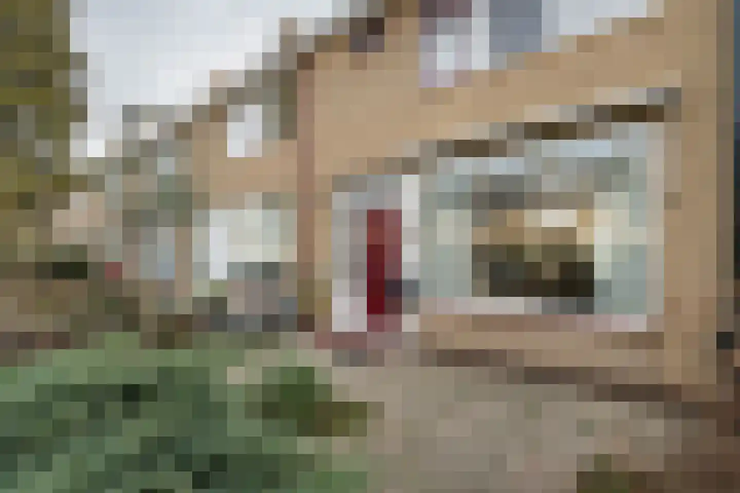 Couperusstraat 29 Ridderkerk thumbnail 26