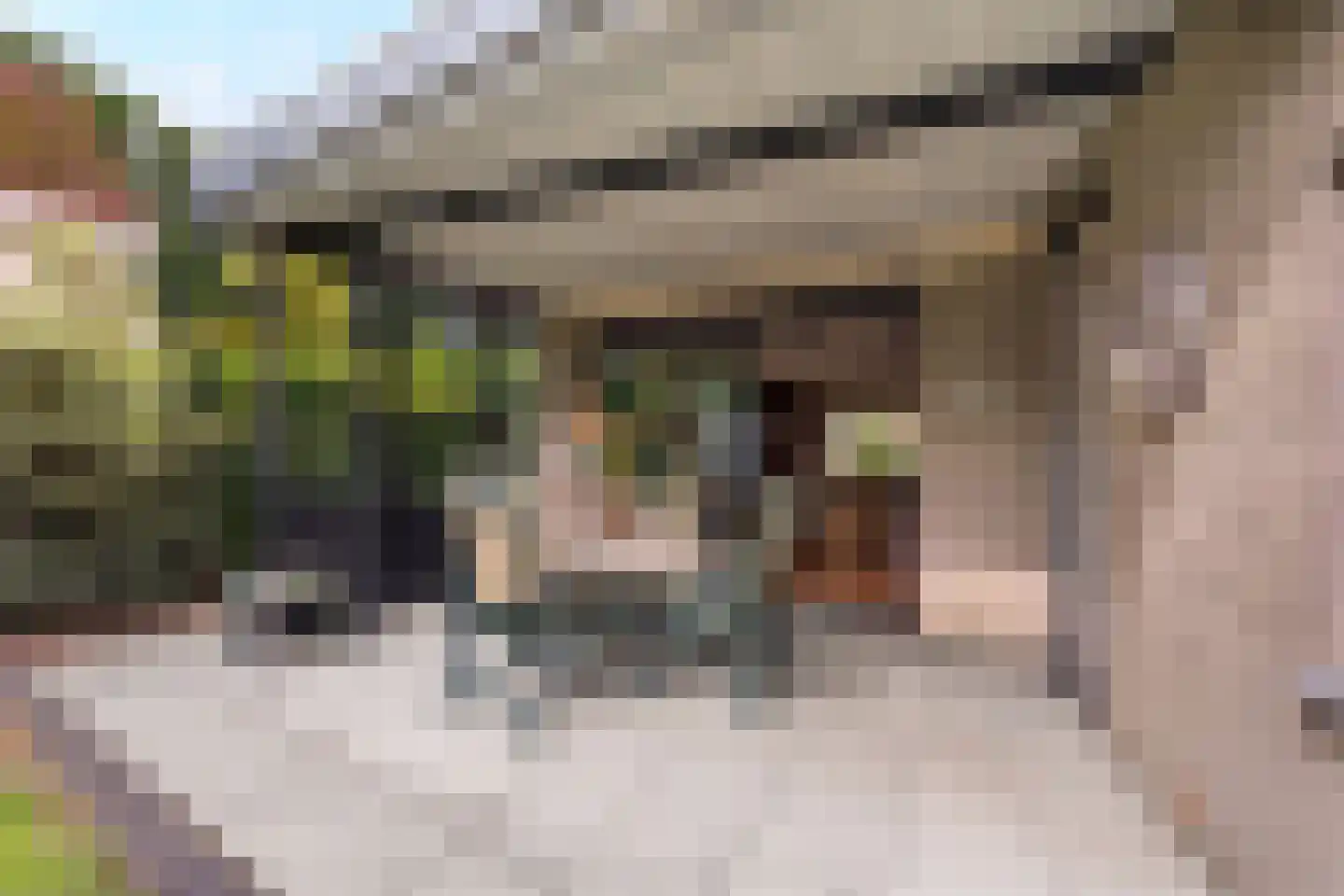 Couperusstraat 3 Brunssum thumbnail 12