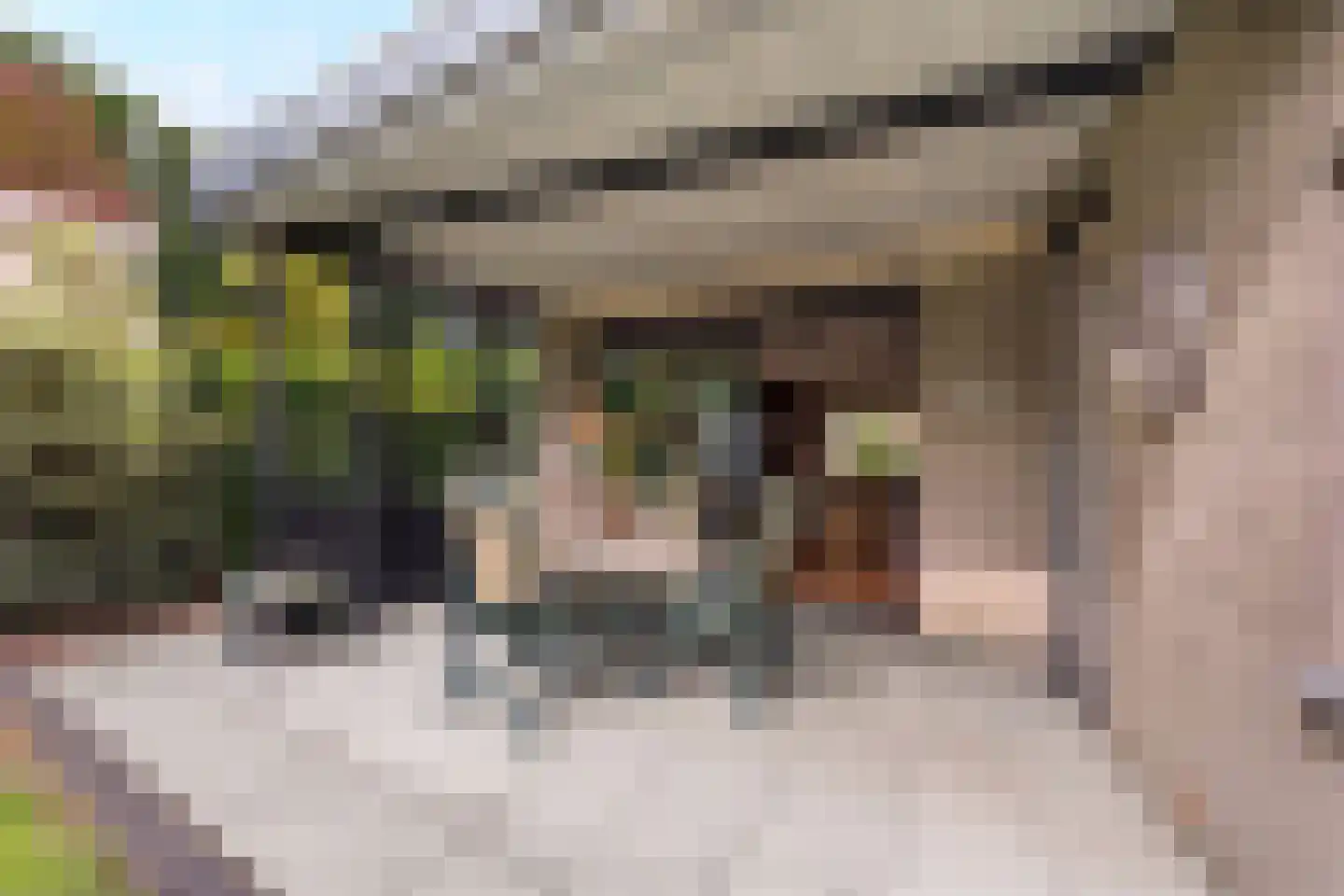 Couperusstraat 3 Brunssum thumbnail 14