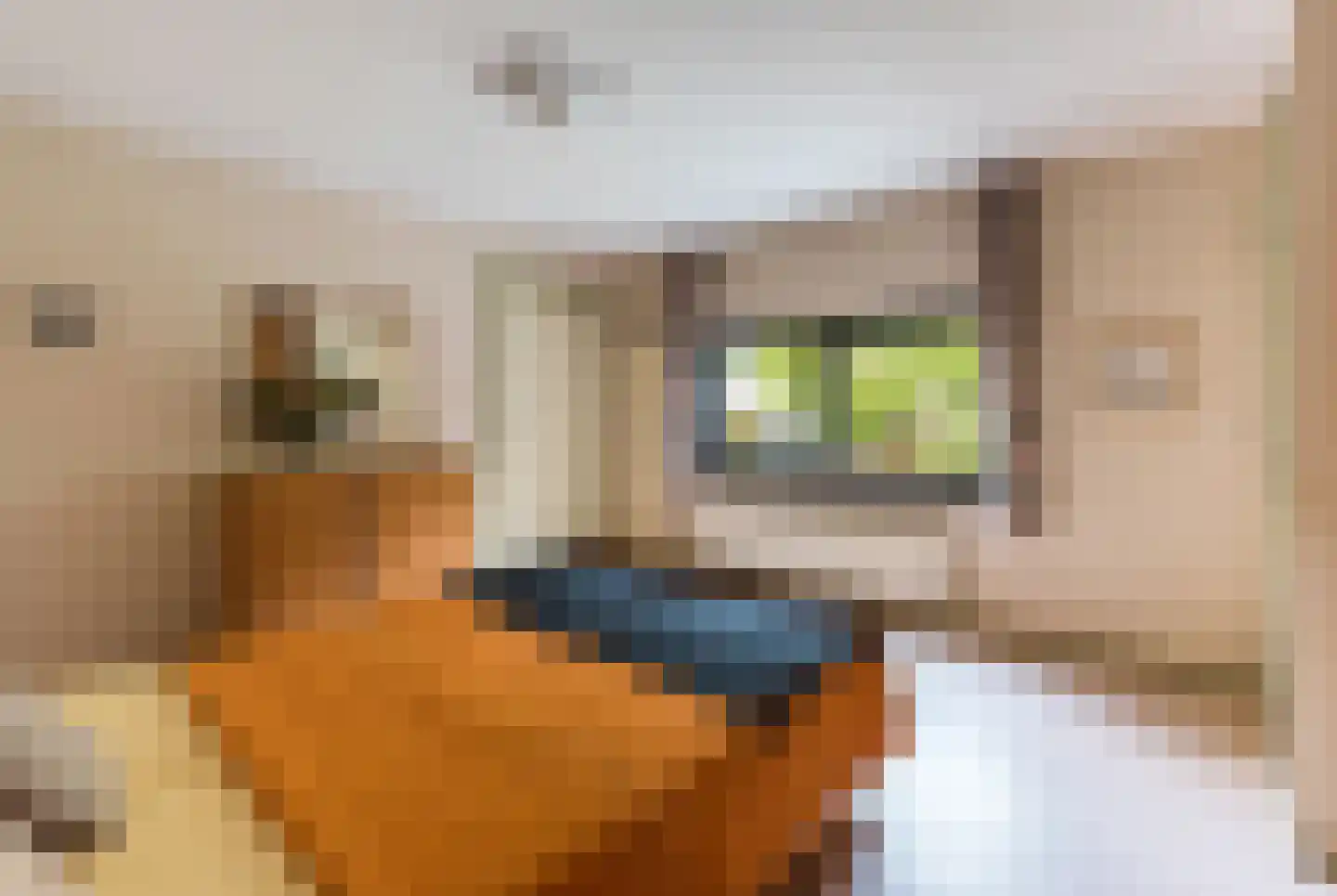 Couperusstraat 3 Brunssum thumbnail 19