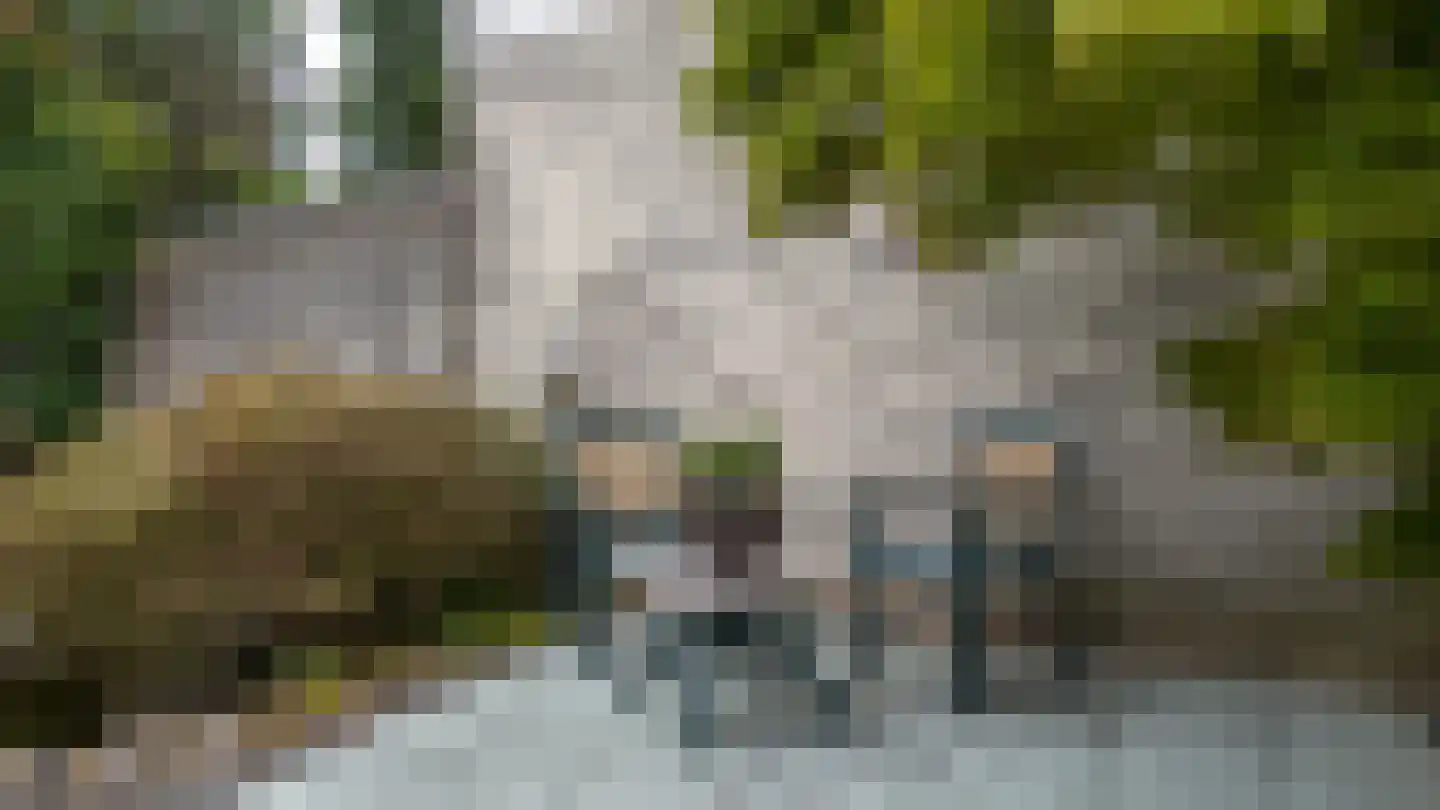 Couperusstraat 3 Brunssum thumbnail 42