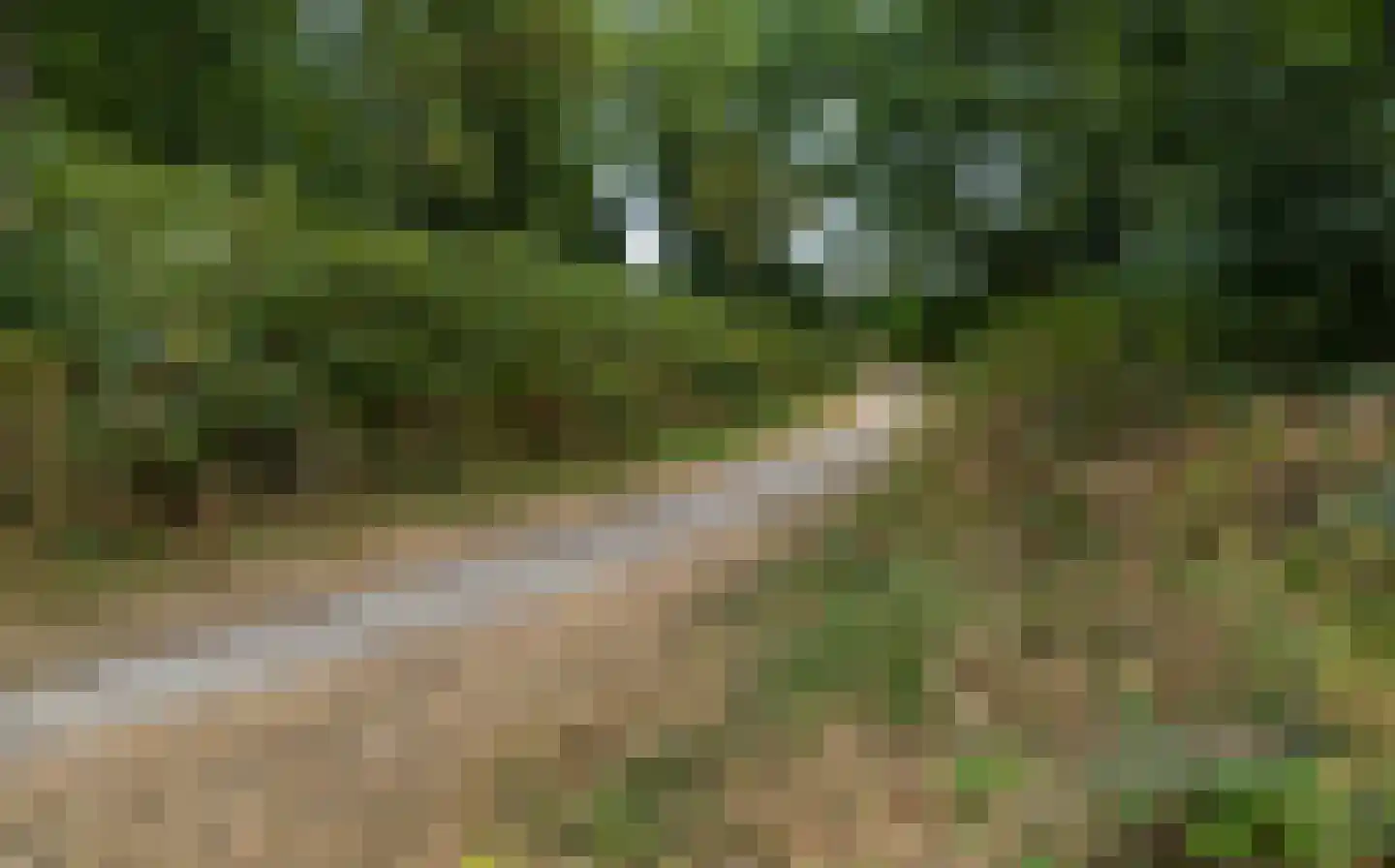 Couperusstraat 3 Brunssum thumbnail 46