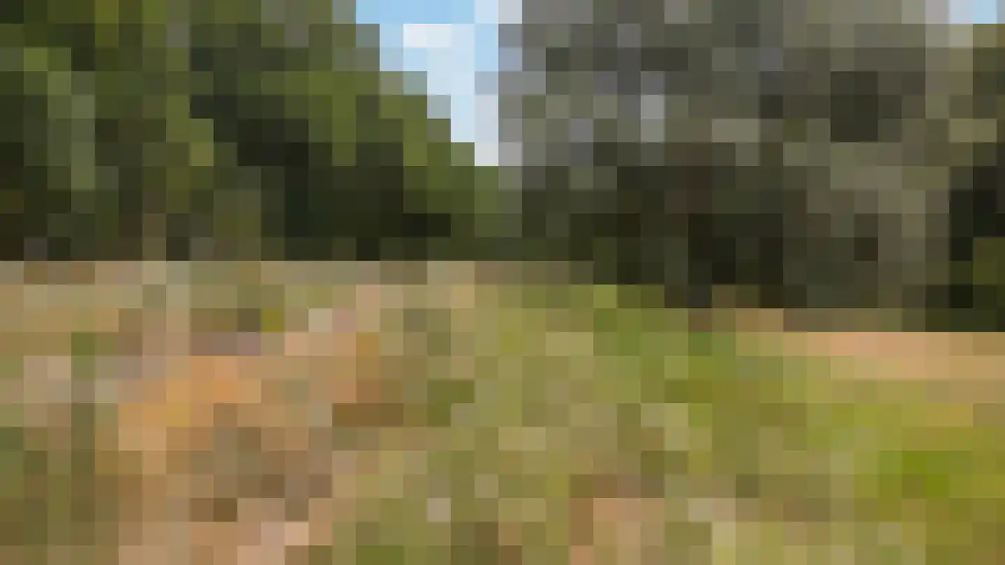 Couperusstraat 3 Brunssum thumbnail 48
