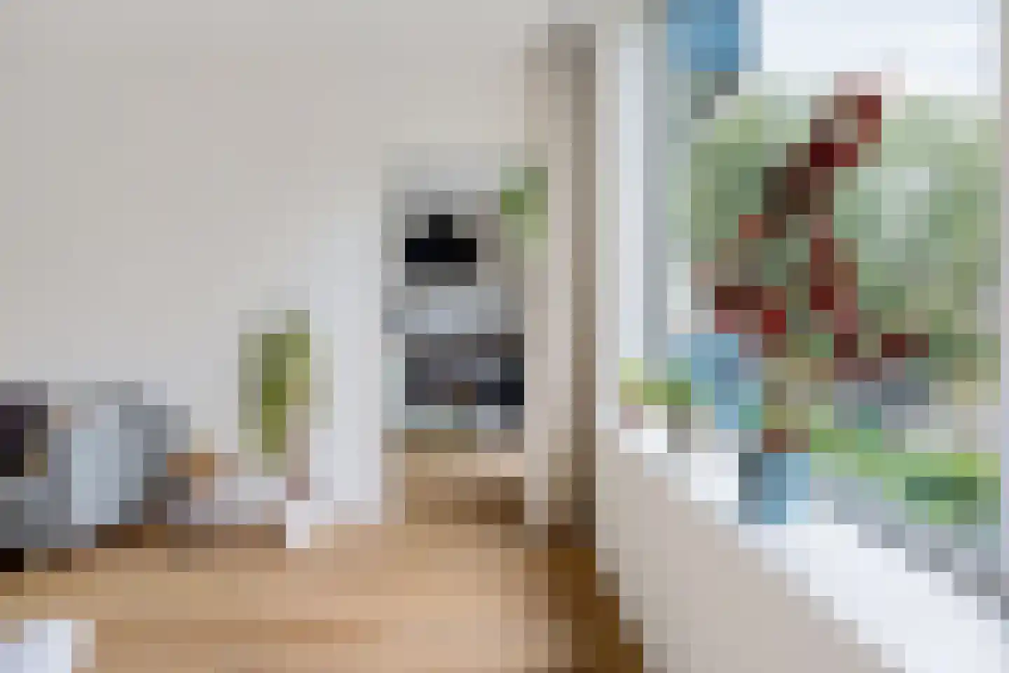 Couperusstraat 3 Groningen thumbnail 19