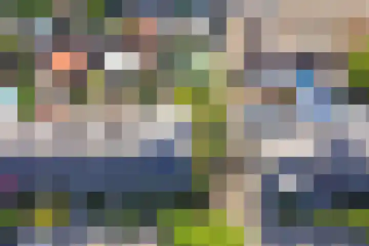 Couperusstraat 31 Ridderkerk thumbnail 36