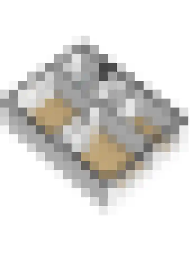 Couperusstraat 31 Ridderkerk thumbnail 41