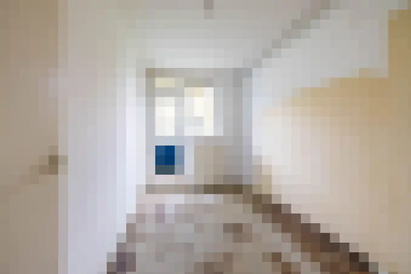 Couperusstraat 37 Groningen thumbnail 16